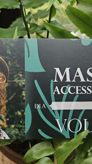 Voucher na masaż Access Bars